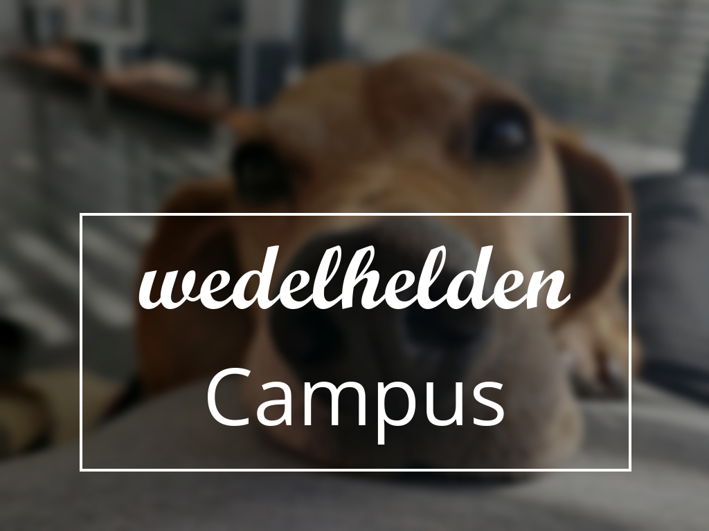 wedelhelden Hundetests